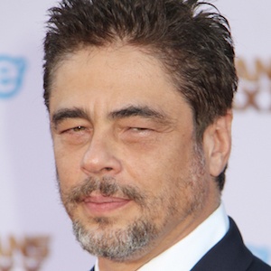 Benicio Del Toro