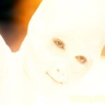 Cocoon 2
