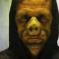 Piggy