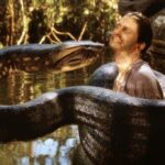 Anaconda