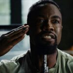 Falcon Rising