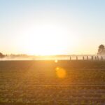 McFarland, USA