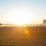 McFarland, USA