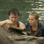 The Librarian