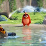 The Angry Birds Movie
