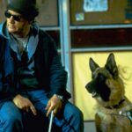 K-9: P.I.