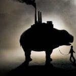 Okja
