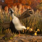 Duck Duck Goose