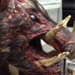 Boar