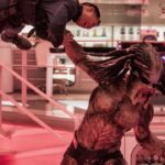 The Predator
