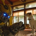 Bumblebee