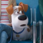 The Secret Life Of Pets 2