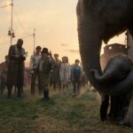 Dumbo