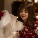 The Search For Santa Paws