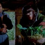 Battle For The Planet Of The Apes