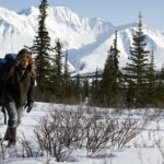 Into The Wild