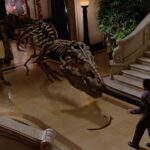 Night At The Museum
