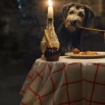 Lady And The Tramp