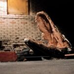 Alligator