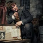 Fantastic Beasts 2: The Crimes Of Grindewald