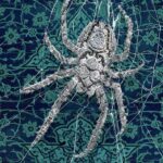 Holy Spider