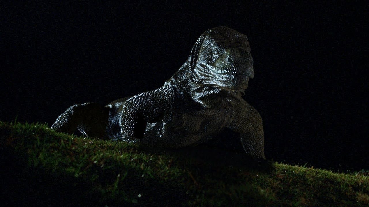 cwejydbqnezgiihnv4qsf4dfgzu1518675654430928277jpg | Movietajmse