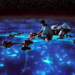 Life Of Pi