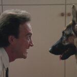K-9