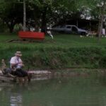Piranha