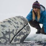 Big Miracle