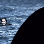 Open Water