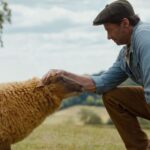 The Sheep Detectives